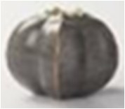 GOURD_ObjectsVases-boxes-Etc_9332_1.png